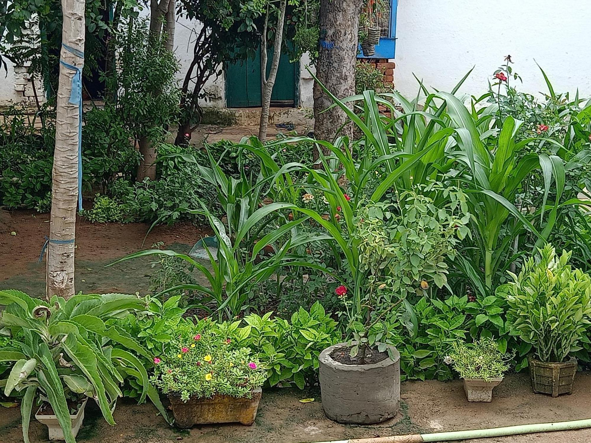 Apartamento Khajuraho Rancho Exterior foto