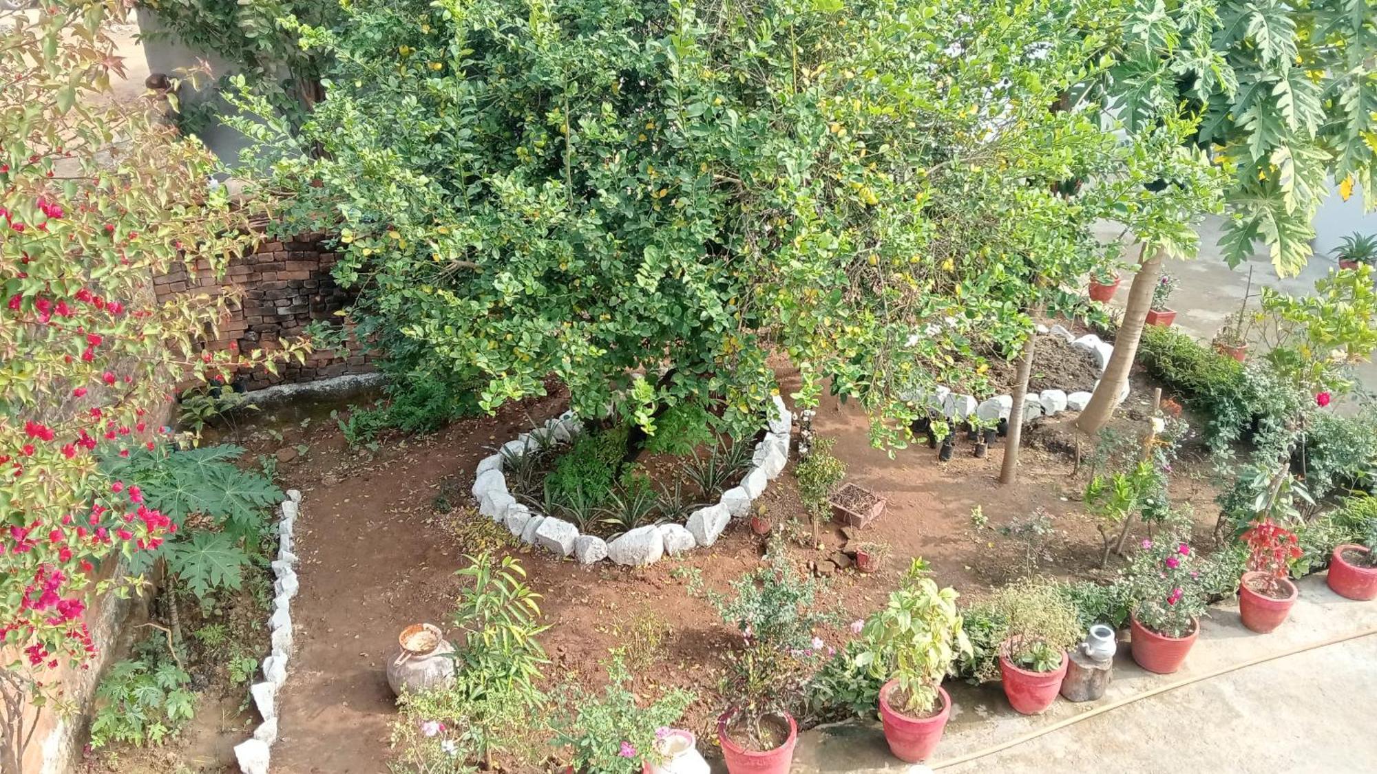 Apartamento Khajuraho Rancho Exterior foto